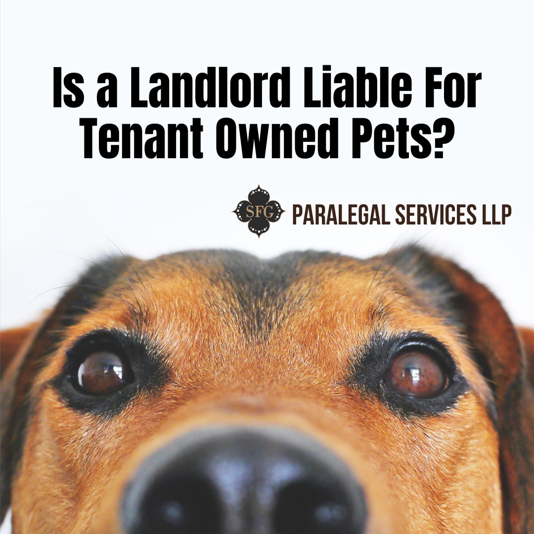 is a landlord responsible for tenants dog